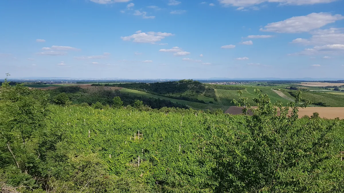 Ilustrační obrázek k článku